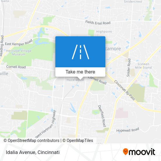 Mapa de Idalia Avenue