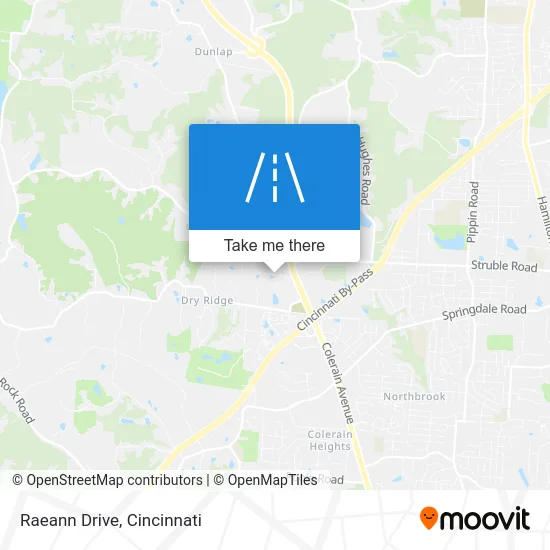 Raeann Drive map