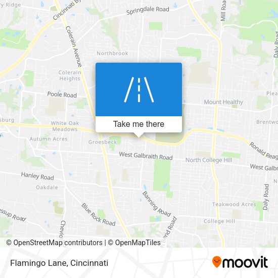 Mapa de Flamingo Lane