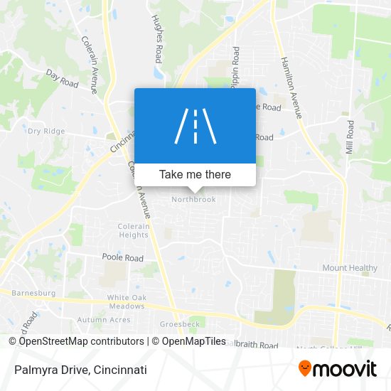 Mapa de Palmyra Drive