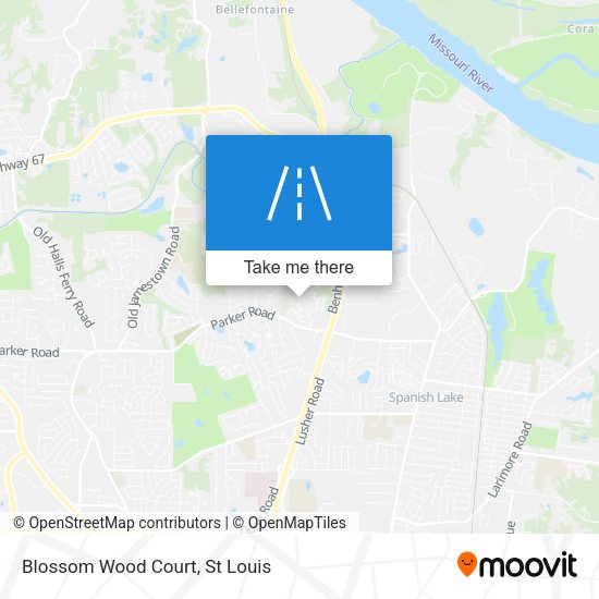 Blossom Wood Court map