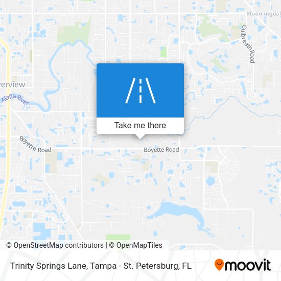 Mapa de Trinity Springs Lane