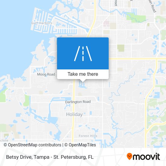 Betsy Drive map