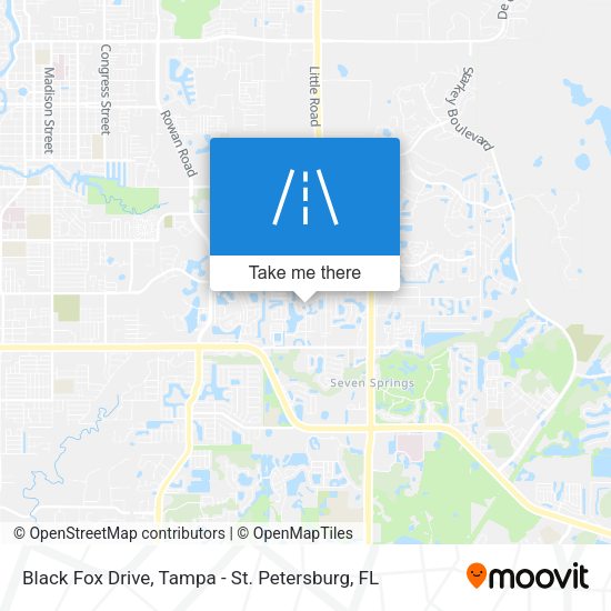 Mapa de Black Fox Drive
