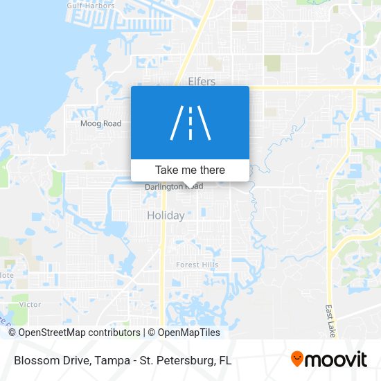 Blossom Drive map