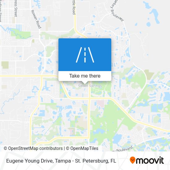 Eugene Young Drive map