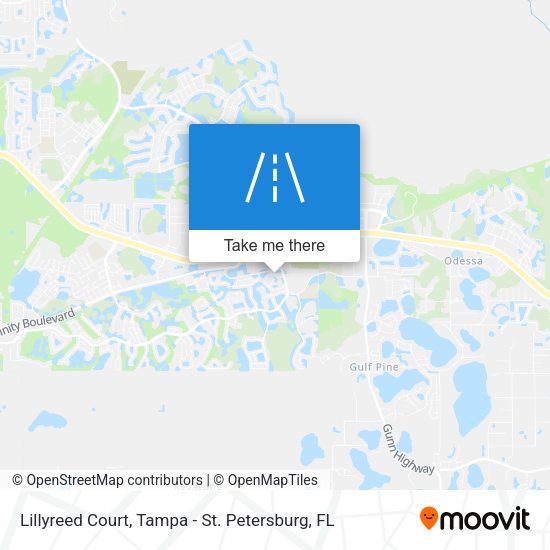Lillyreed Court map