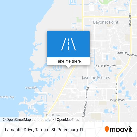 Lamantin Drive map