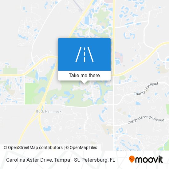 Carolina Aster Drive map