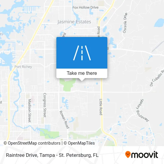 Mapa de Raintree Drive