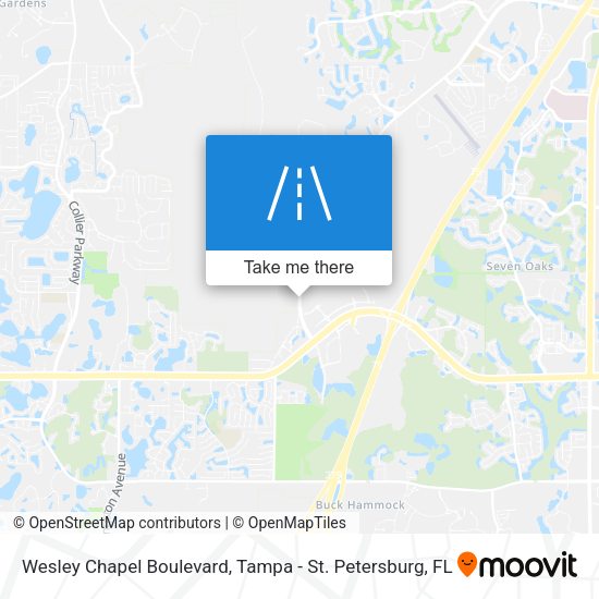 Mapa de Wesley Chapel Boulevard