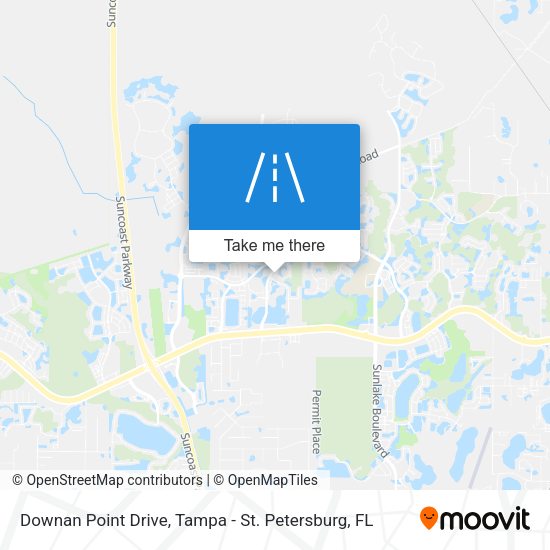 Mapa de Downan Point Drive