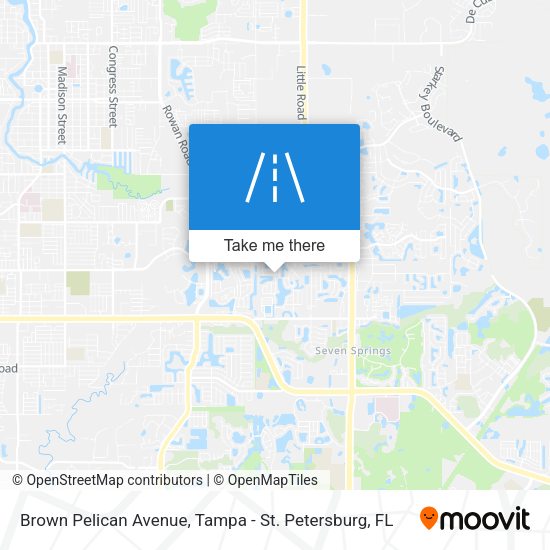 Brown Pelican Avenue map