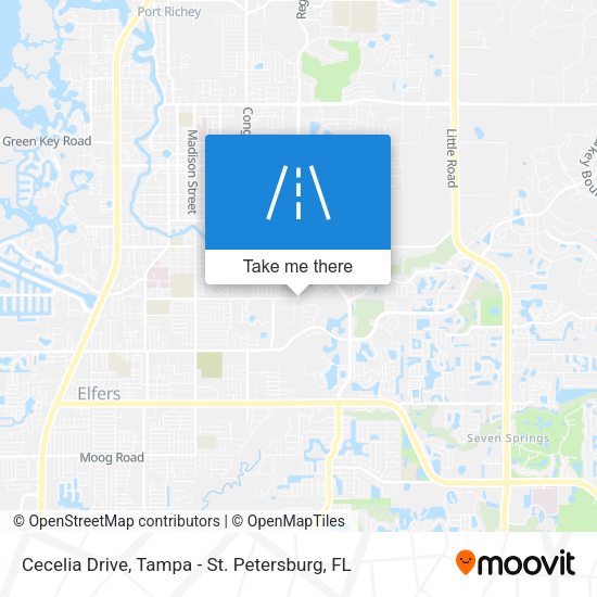 Cecelia Drive map
