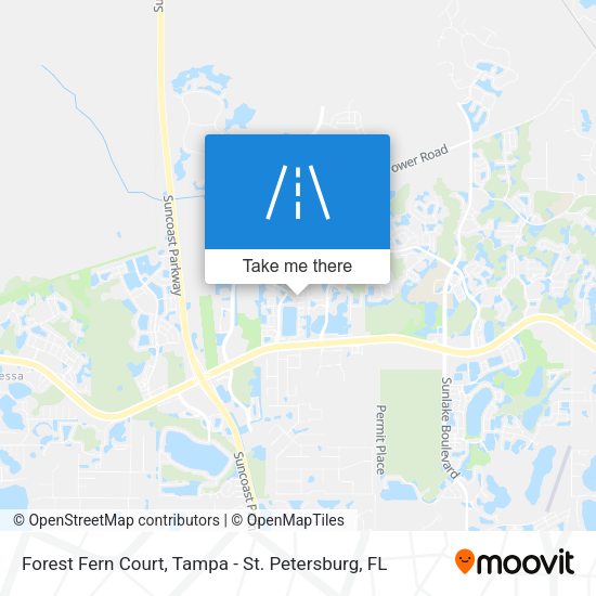 Forest Fern Court map
