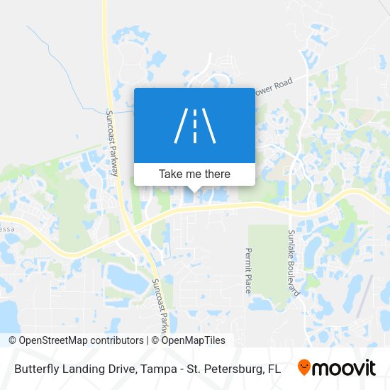 Butterfly Landing Drive map