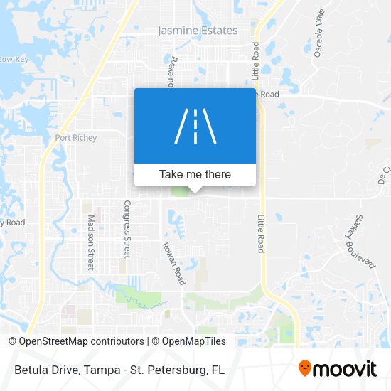 Betula Drive map
