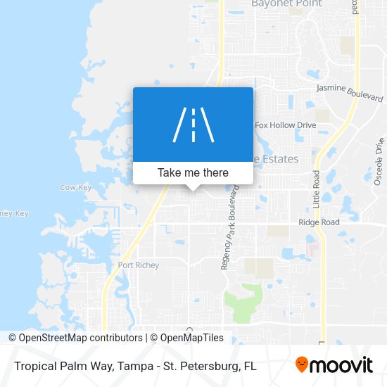 Tropical Palm Way map