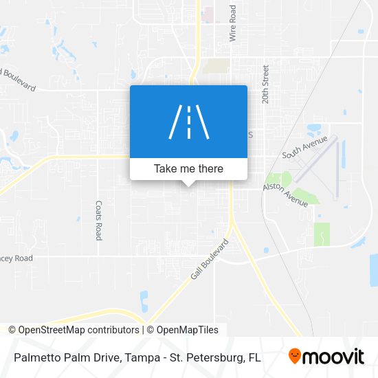 Palmetto Palm Drive map