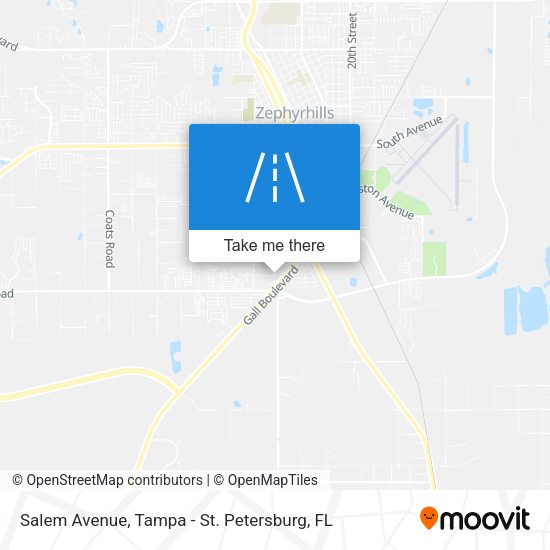 Salem Avenue map