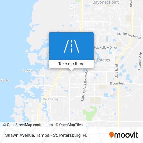 Shawn Avenue map