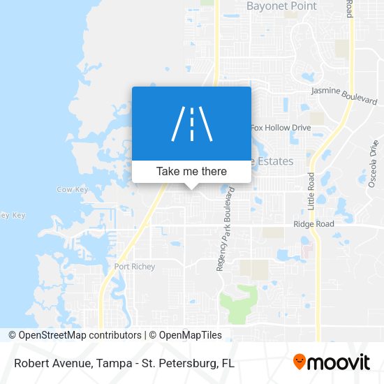 Mapa de Robert Avenue