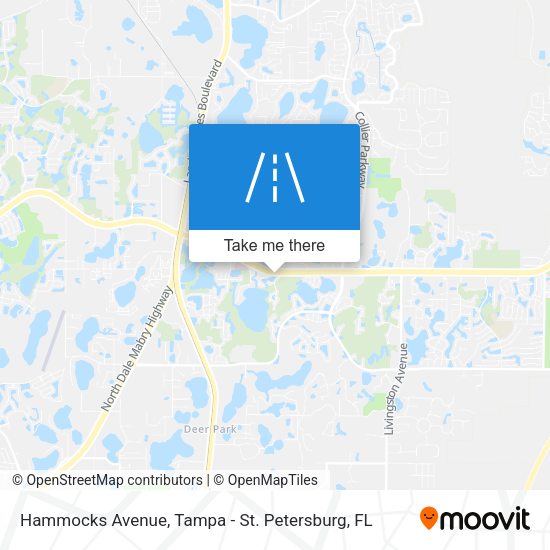 Hammocks Avenue map