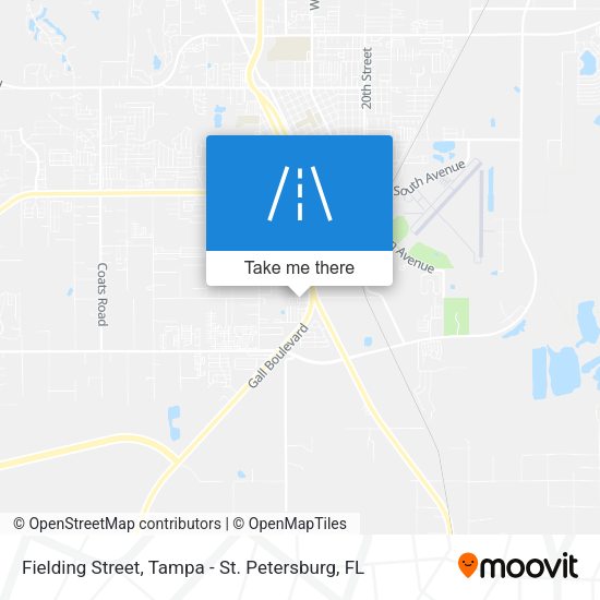 Fielding Street map