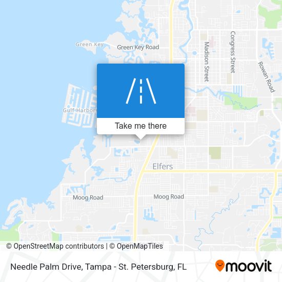 Needle Palm Drive map