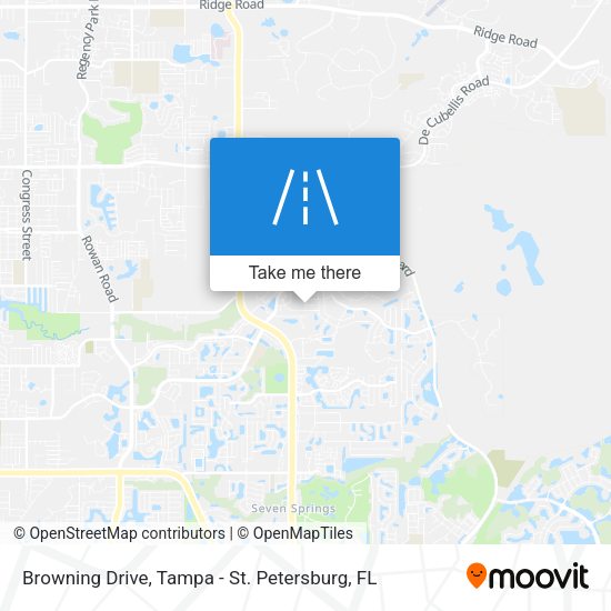 Mapa de Browning Drive