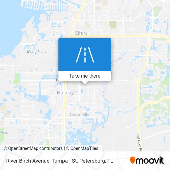 River Birch Avenue map