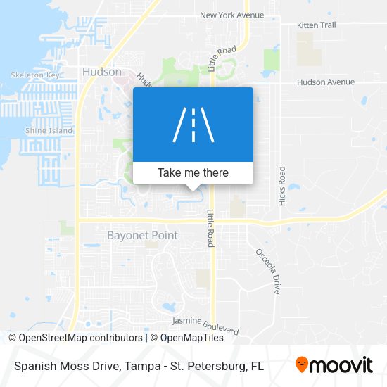 Spanish Moss Drive map