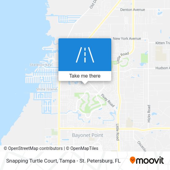 Snapping Turtle Court map
