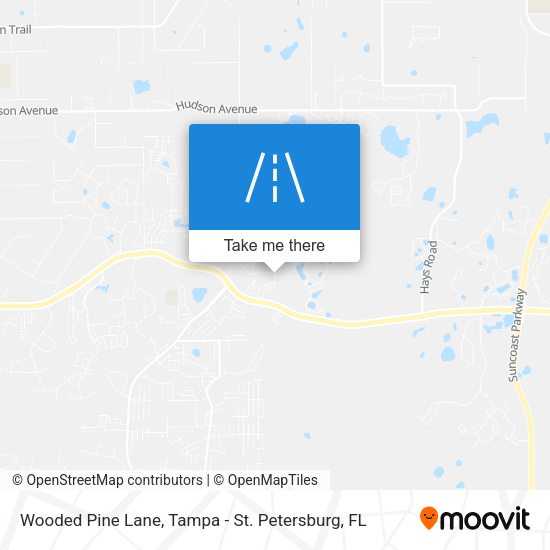 Mapa de Wooded Pine Lane