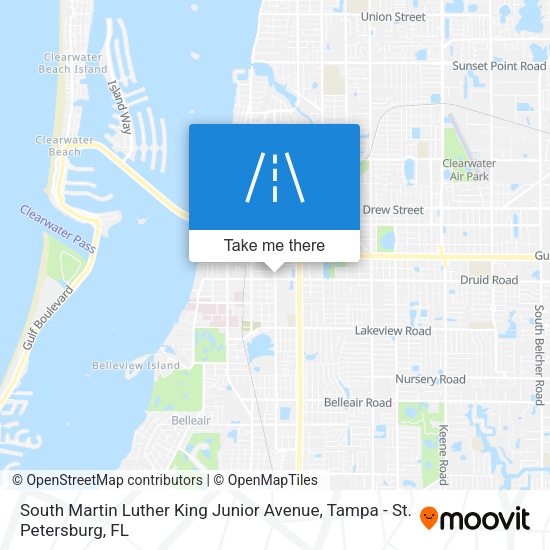 South Martin Luther King Junior Avenue map