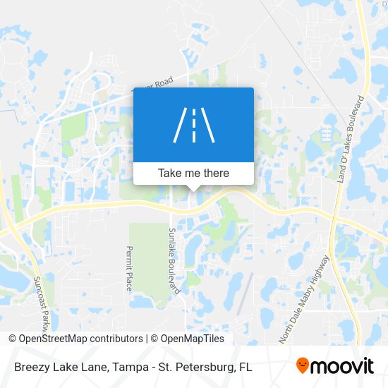 Mapa de Breezy Lake Lane