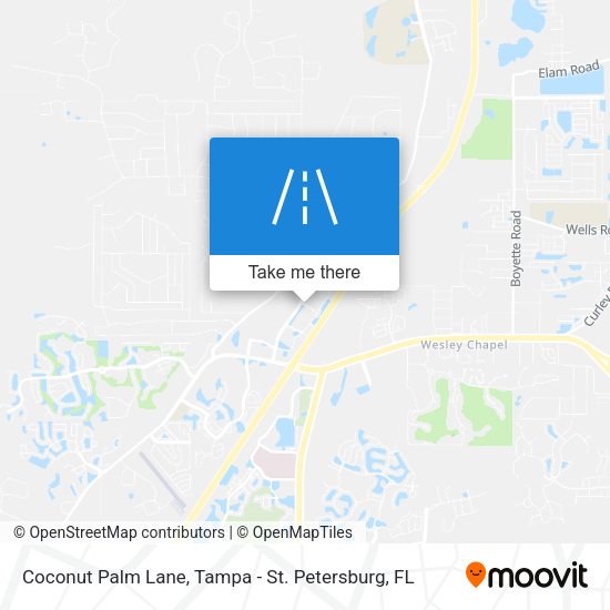Coconut Palm Lane map