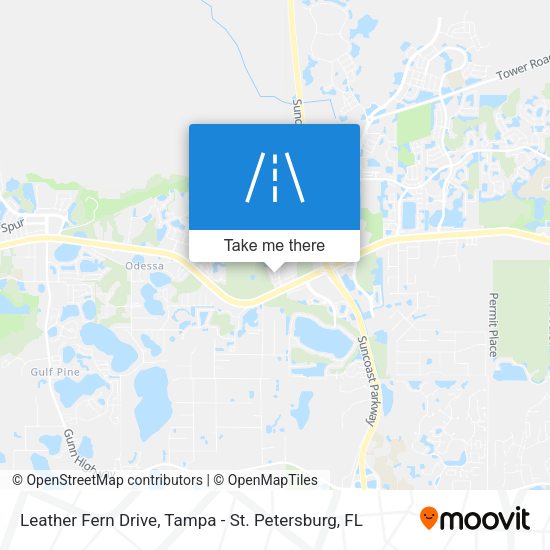 Leather Fern Drive map