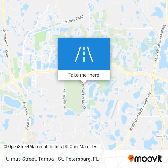 Ulmus Street map