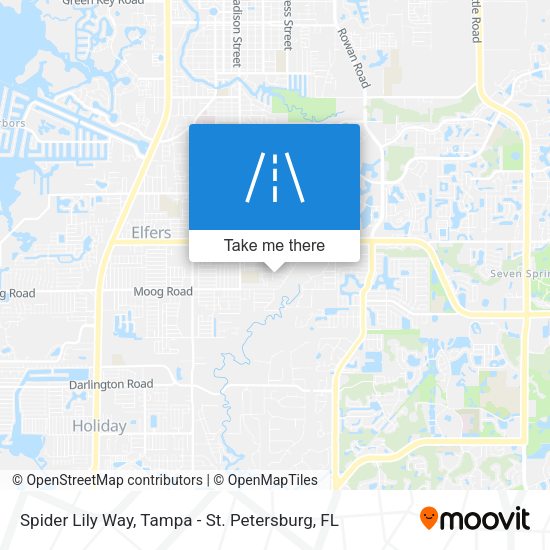 Mapa de Spider Lily Way