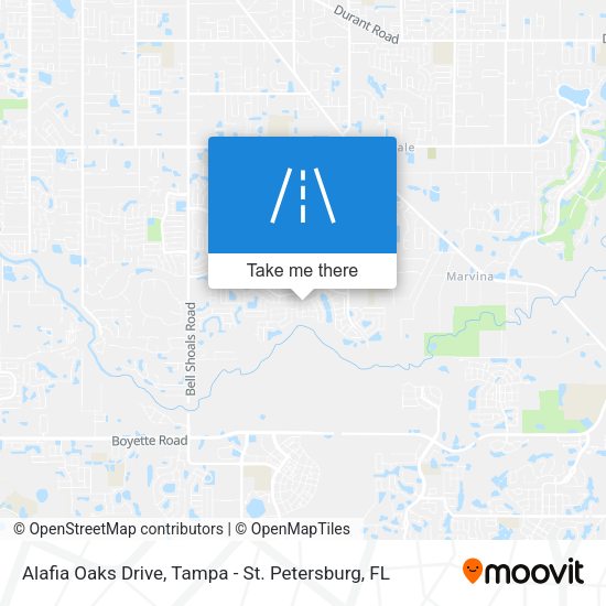 Alafia Oaks Drive map