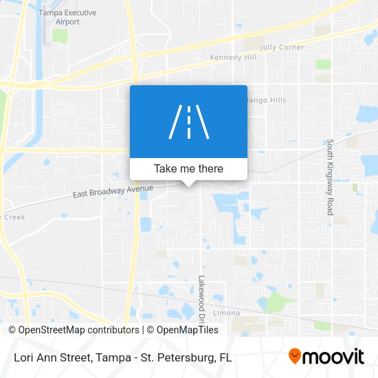 Lori Ann Street map
