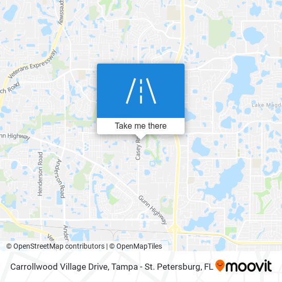 Carrollwood Village Drive map