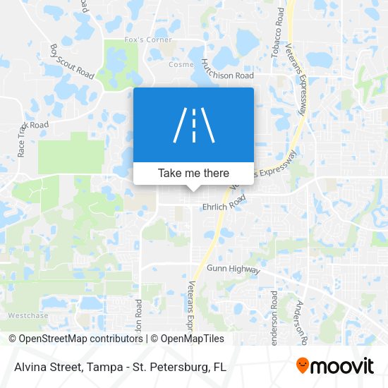 Alvina Street map