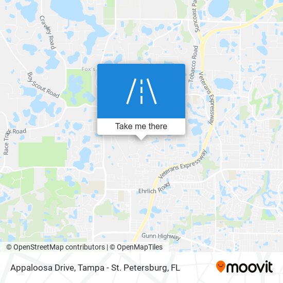 Appaloosa Drive map