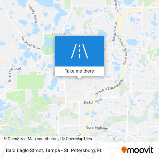 Bald Eagle Street map