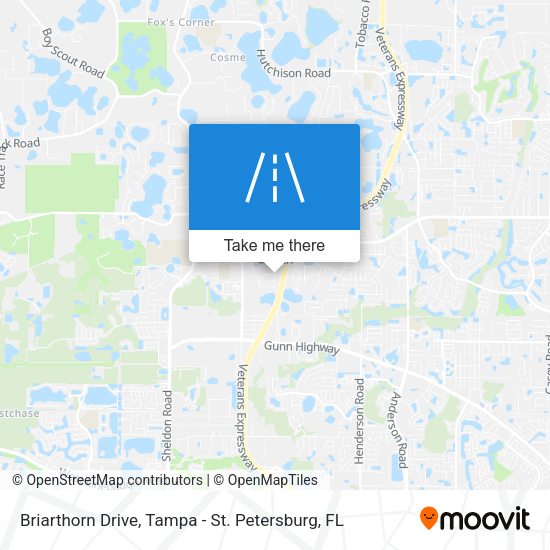 Mapa de Briarthorn Drive