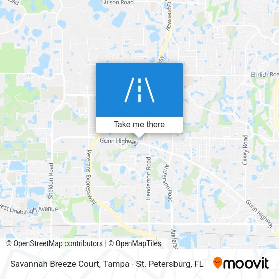 Mapa de Savannah Breeze Court