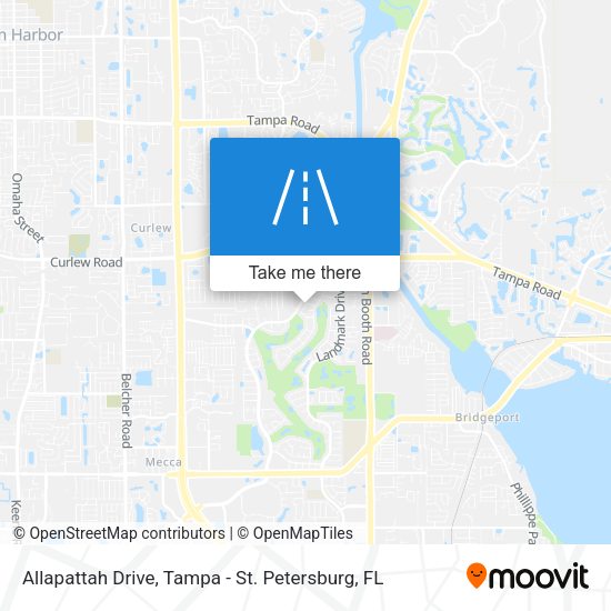 Allapattah Drive map
