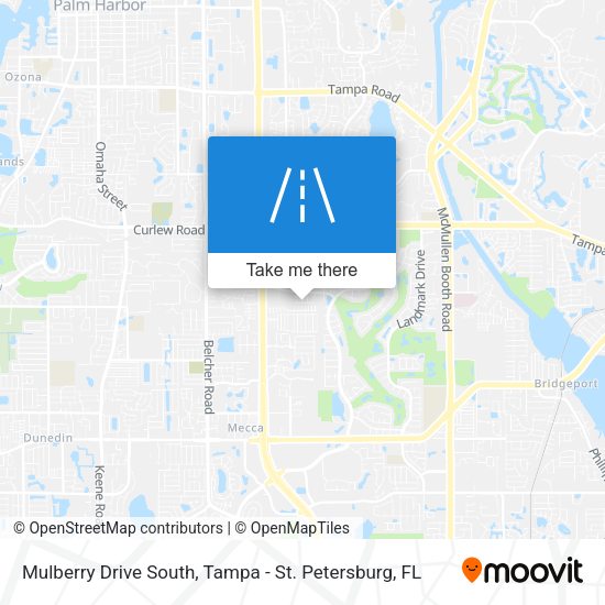 Mulberry Drive South map